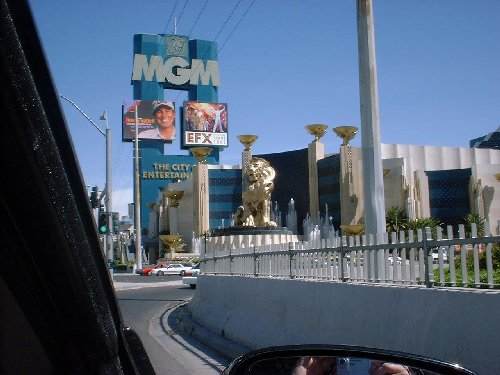 mgmsign.jpg 42.6K